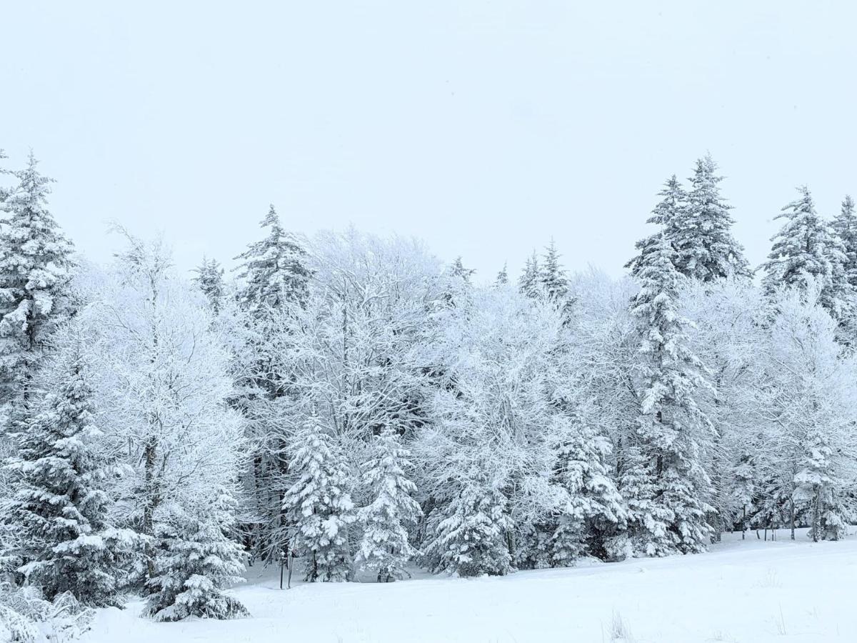 Snowshoe Ski-In & Ski-Out At Silvercreek Resort - Family Friendly, Jacuzzi, Hot Tub, Mountain Views Luaran gambar